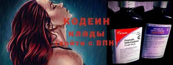 spice Богородск