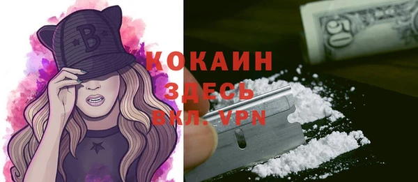 соль ск Богородицк