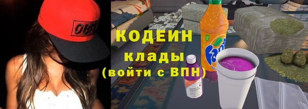 spice Богородск