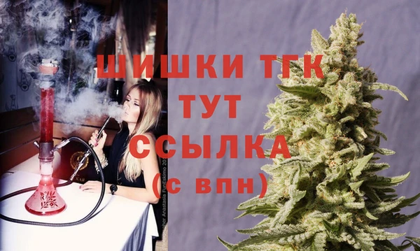 соль ск Богородицк