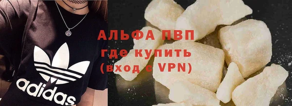 spice Богородск