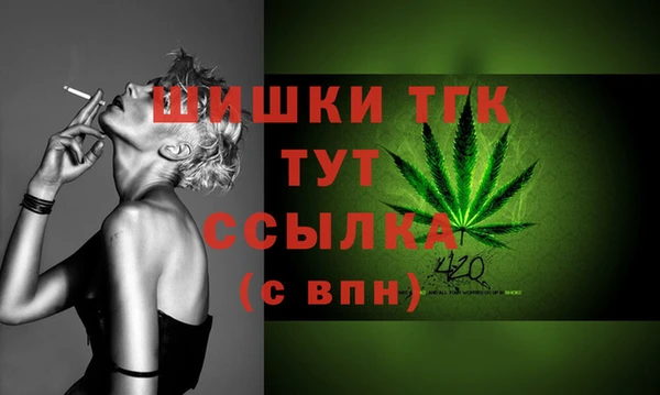 ГАЛЛЮЦИНОГЕННЫЕ ГРИБЫ Богданович