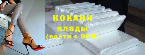 ГАЛЛЮЦИНОГЕННЫЕ ГРИБЫ Богданович