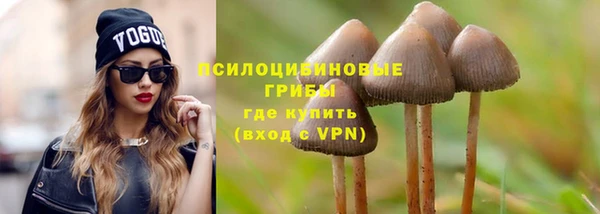 ГАЛЛЮЦИНОГЕННЫЕ ГРИБЫ Богданович
