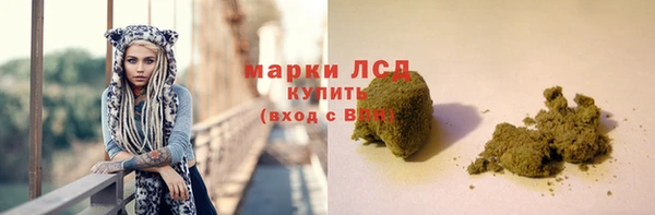 spice Богородск