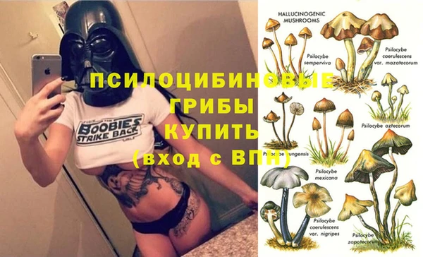 соль ск Богородицк