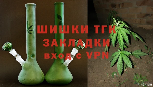 ГАЛЛЮЦИНОГЕННЫЕ ГРИБЫ Богданович
