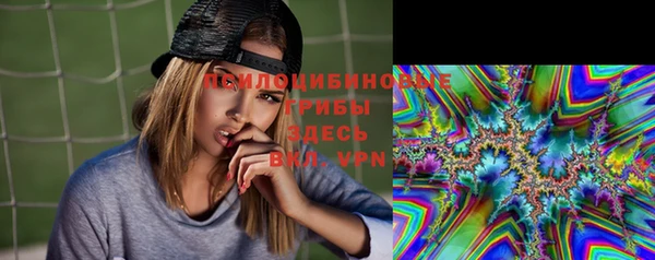 соль ск Богородицк