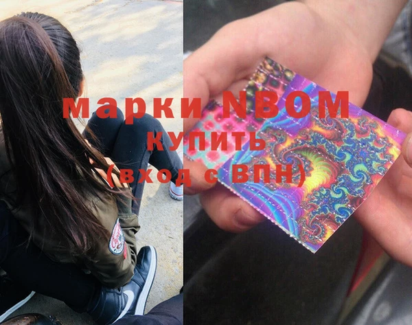 spice Богородск