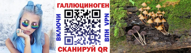 Псилоцибиновые грибы Psilocybine cubensis  где купить   Кемерово 